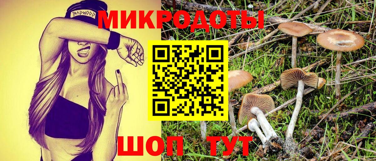 Псилоцибиновые грибы Psilocybine cubensis Звенигород