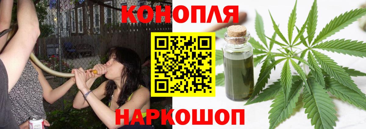 Бошки марихуана план Звенигород
